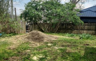 Stump grinding (1)