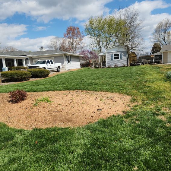 Stump grinding (2)